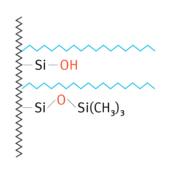 ODS C18 Structure