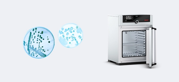 chromatography-category-home